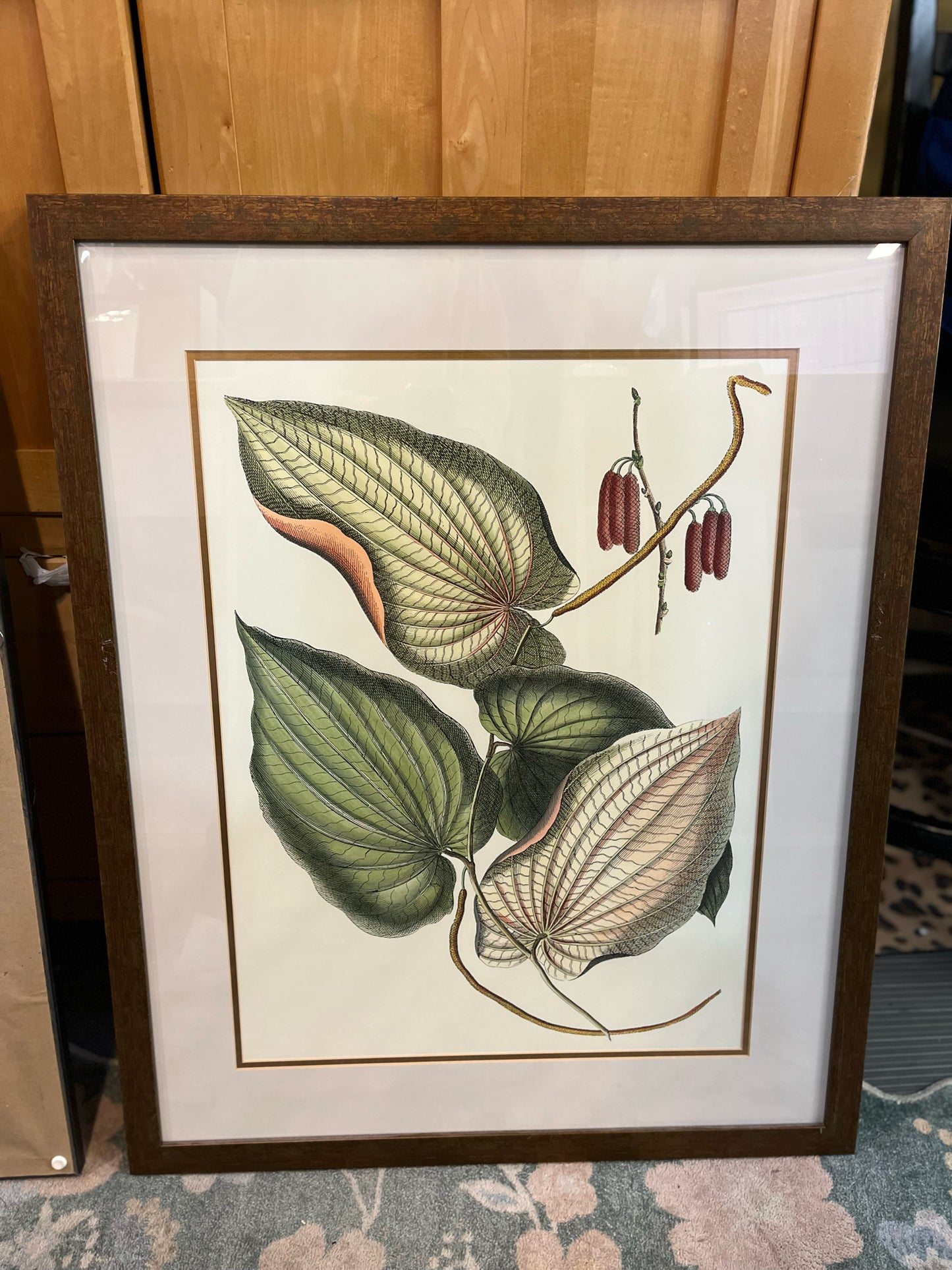 Framed Botanical Print I by Wallace Art