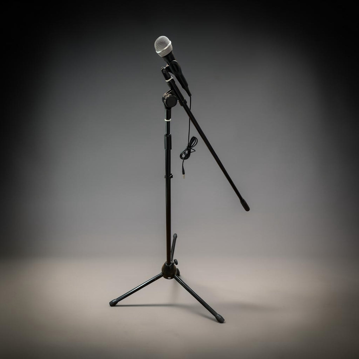Microphone & Tripod Stand