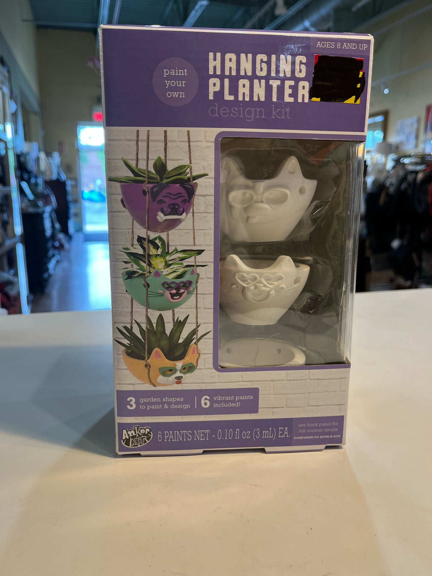 DIY Hanging Planter Craft
