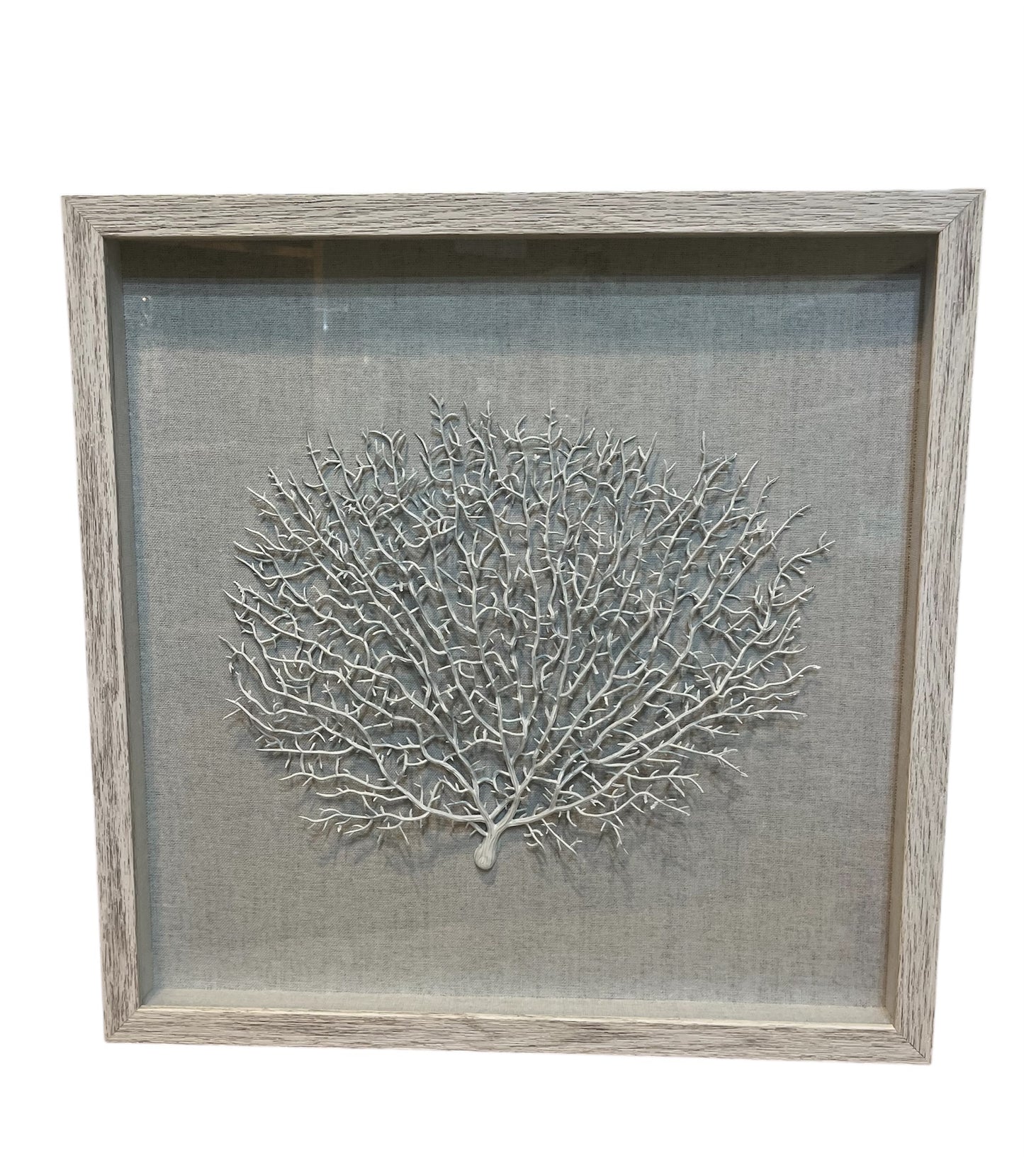 Framed Coral Shadow Box Art