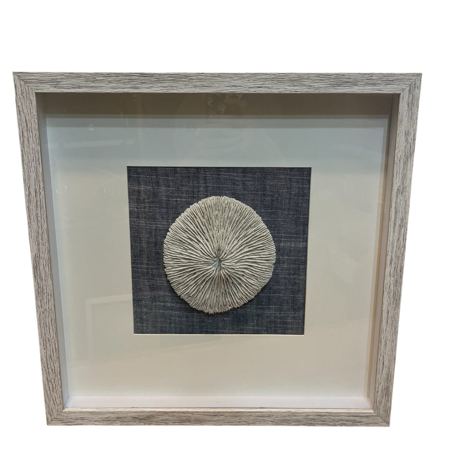 Framed Round Coral Shadow box Art