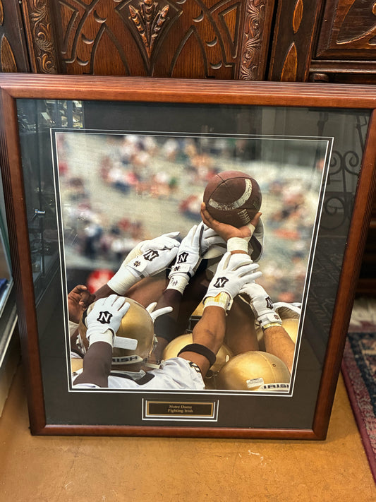 Notre Dame Fighting Irish Wall Art