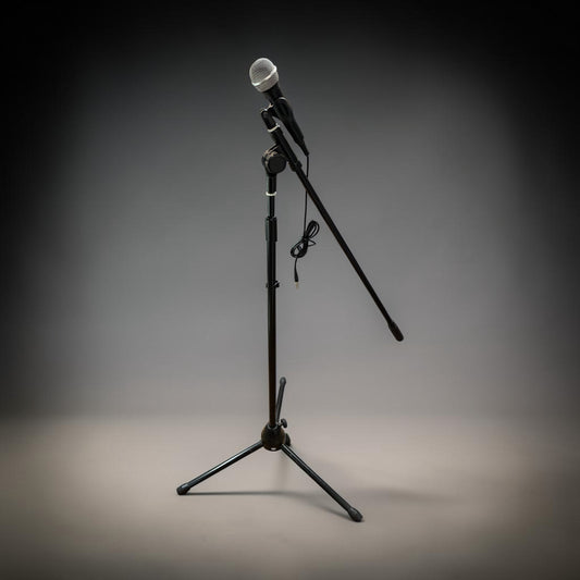 Microphone & Tripod Stand