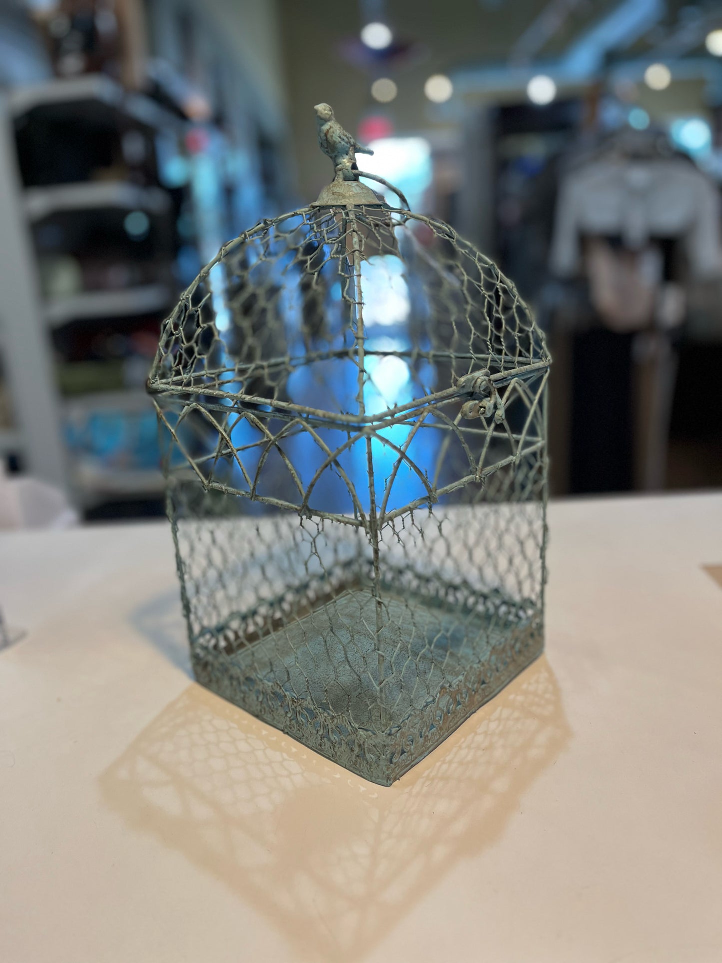 Light Blue Metal Bird cage