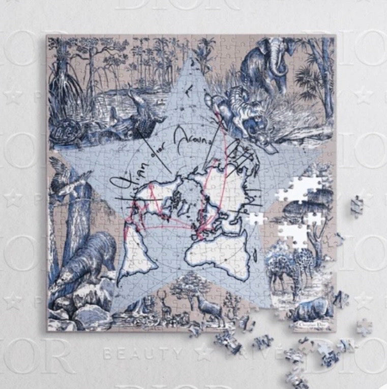 DIOR Puzzle Around the World