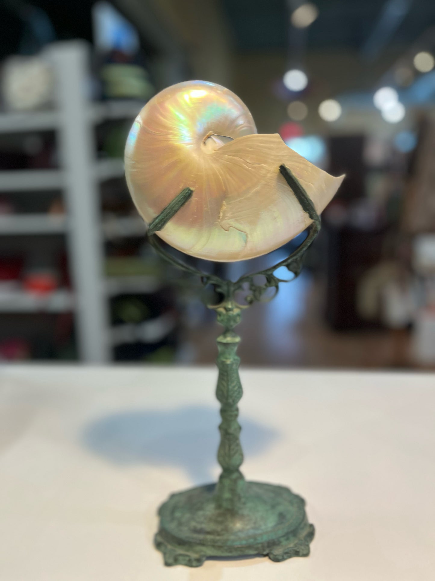Maitland Smith Large Nautilus Shell Figurine