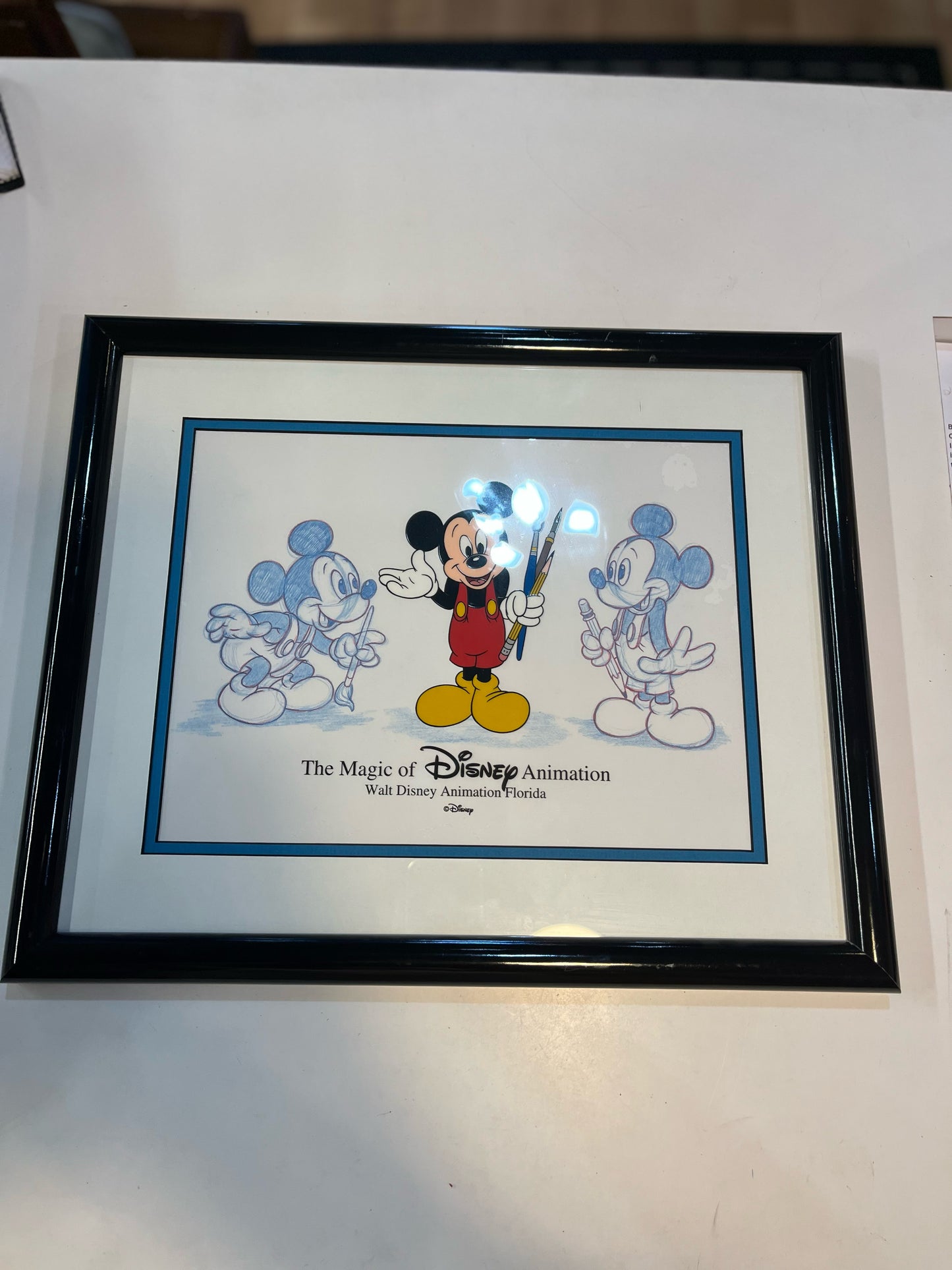Rare "The Magic of Disney Animation" Framed Art
