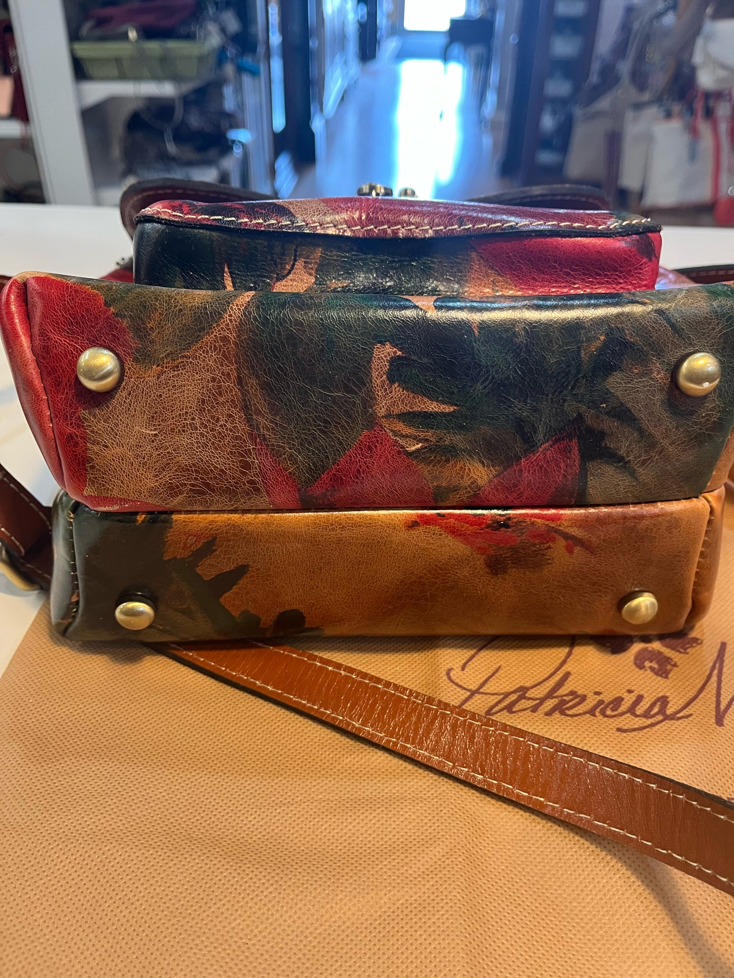 NWT Patricia Nash “Leandra” Handbag