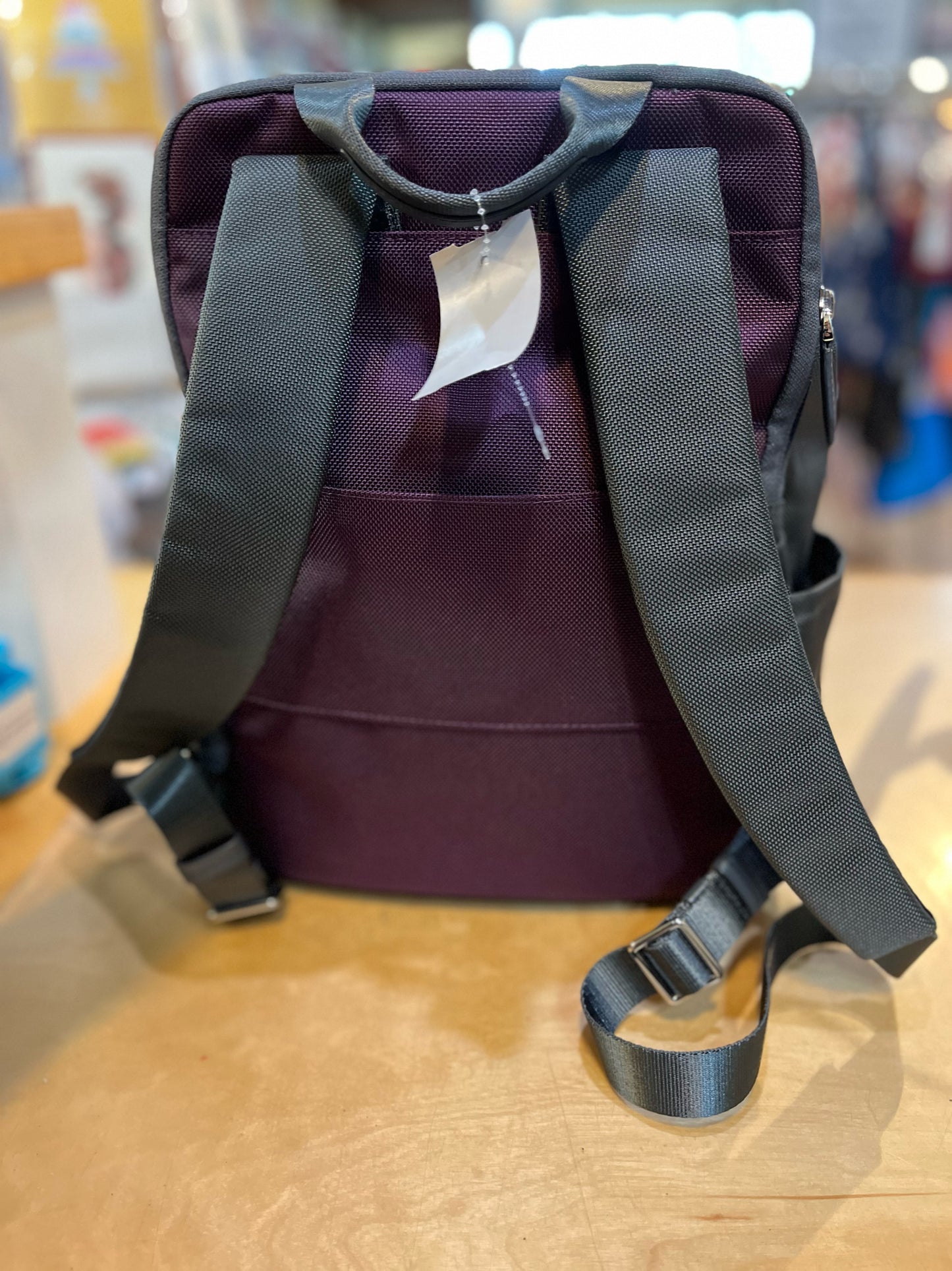 Tumi “Cady Ballistic Nylon” Backpack