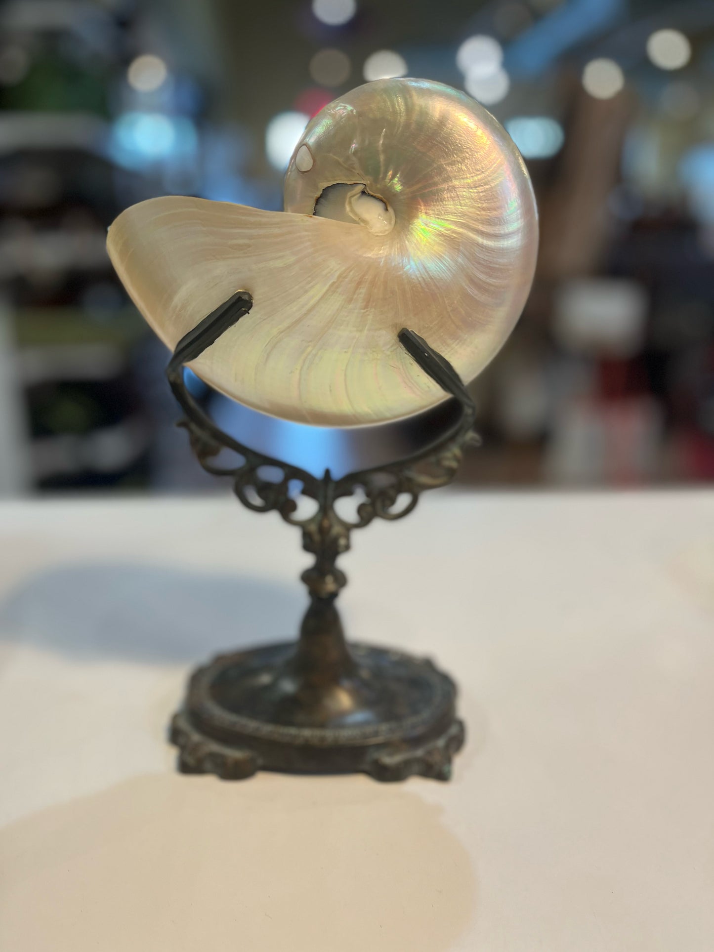Maitland Smith Small Nautilus Shell Figurine