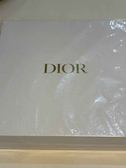 DIOR Puzzle Around the World