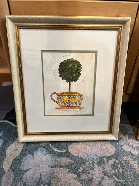 "Creeping Fig Teacup" Signed Framed Art