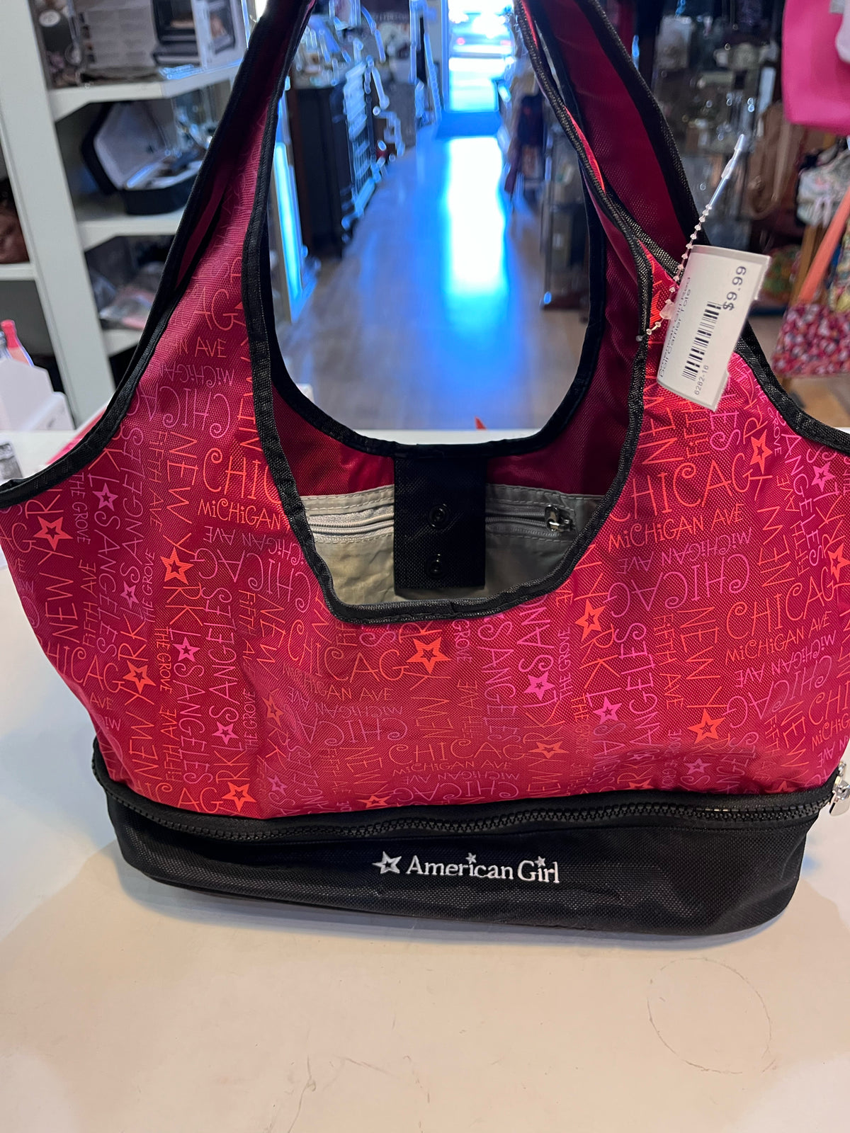American Girl Doll Carrier Tote
